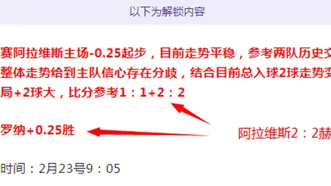 【周日荷甲激战：布雷达迎战特温特 足彩策略310深度剖析】